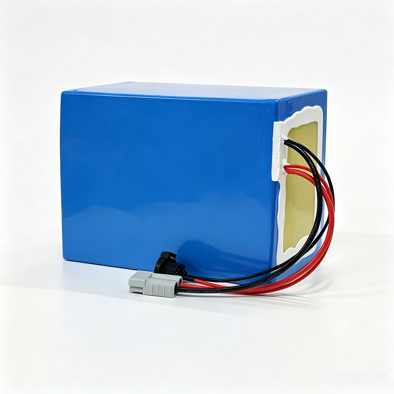 リチウム LiFePO4 72V 50Ah 60Ah 40A - 72V 60Ah Lifepo4 Battery Pack のレビューと価格
